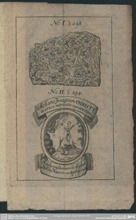 No. I. S. 293; No. II. S. 294