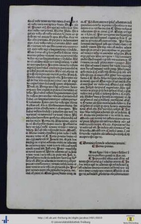 Dominica secunda adventus domini.