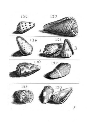 122. - 129.