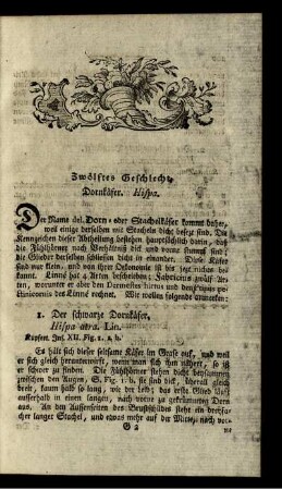 Zwölftes Geschlecht. Dornkäfer. Hispa.