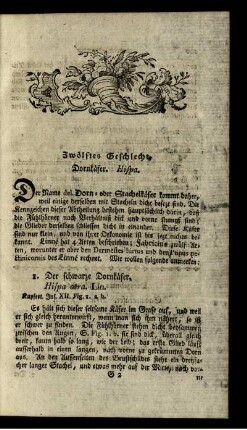 Zwölftes Geschlecht. Dornkäfer. Hispa.
