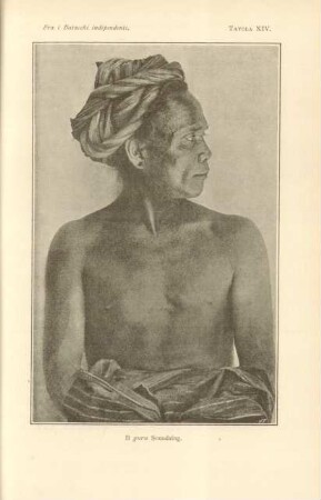 Tavola XIV. Il guru Somalaing
