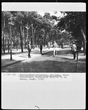 Olympischer Wettkampf: 50 km Gehen (Waldschulallee, Stadion Eichkamp in Berlin-Charlottenburg)