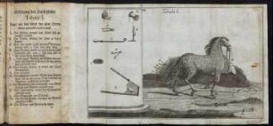 Tabula I. - Tabula II.