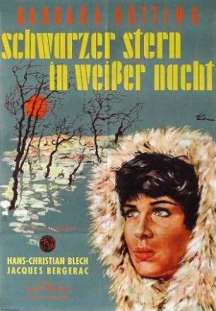 Schwarzer Stern in weißer Nacht