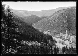 Thüringer Wald bei Tabarz