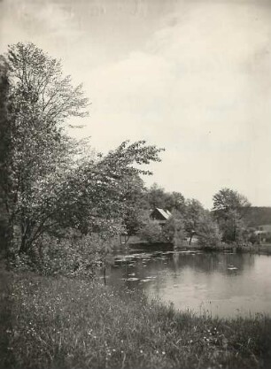 Bad Brambach-Raun. Am Dorfteich