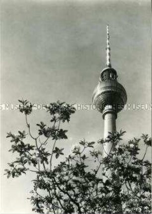 Der Berliner Fernsehturm