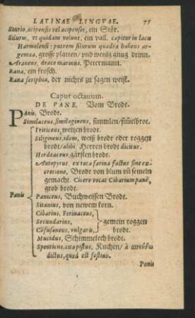 Caput octavum. De Pane.