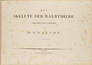 1,3.1822: Die Skelete der Raubthiere