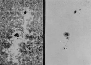 Sonnenflecken, 18. V. 1910, Spectroheliogramm in den Calciumlinien H1 und H2, direkte Aufnahme