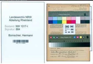 Entnazifizierung Hermann Bornschier , geb. 22.09.1898 (Schuhmachermeister)