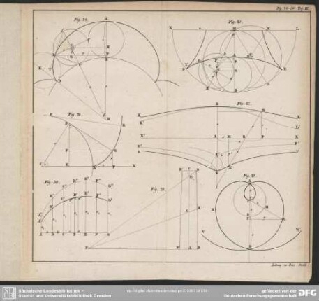 Fig. 24-30. Taf. III.