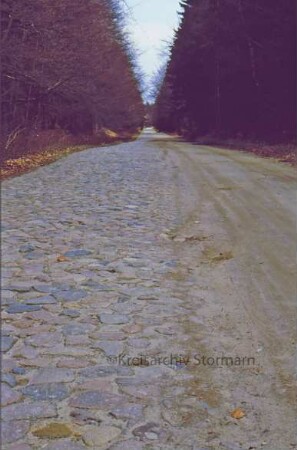 Hohenfelder Damm in der Hahnheide