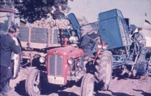 Fotografie: Erntetechnik, Zuckerrübenvollernter, Be- und Entladen