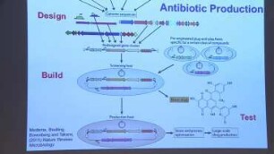 Harnessing synthetic biology for the production of high-value chemicals