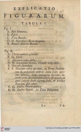 Explicatio figurarum