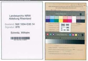 Entnazifizierung Wilhelm Schmitz , geb. 15.06.1904 (Kapitaen)