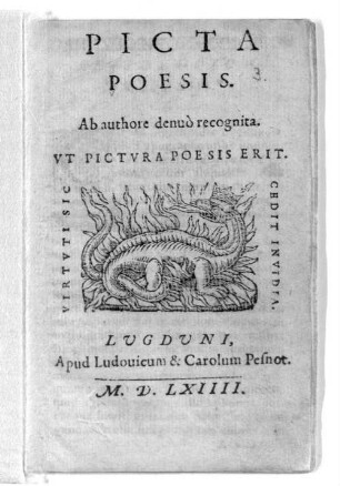 Picta Poesis