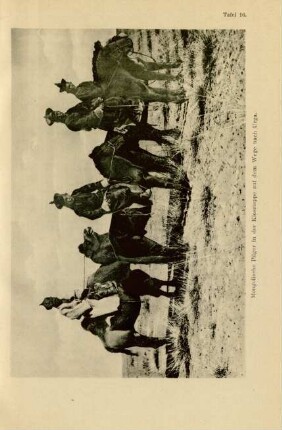 Tafel 16. Mongolische Pilger in der Kiessteppe auf dem Wege nach Urga