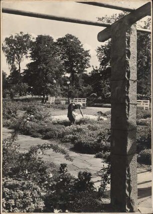 Freundschaftsinsel, Potsdam: Pergola