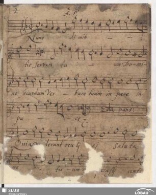 Rost, Nikolaus - Nunc dimittis