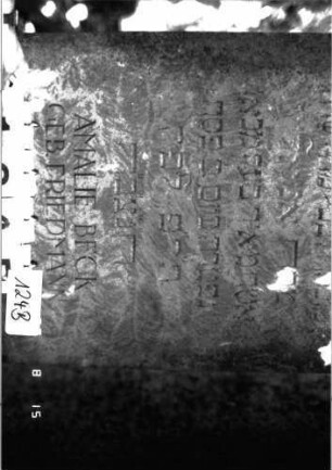 Grabstein 124 (Index: 100105338) Material: Sandstein Zustand: verwittert mit Textverlust Maße HxBxT: 175x57x22 cm Beschreibung: Stele, Sockel, durch Einschnürung abgesetzter Rundbogenabschluß Symbolik: Davidstern, Blätterkranz um Davidstern im Abschluß: Grabstein 124B