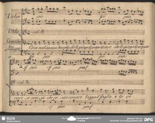Cavatina: "Cosa vuol da una donzella"