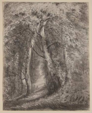 Waldlandschaft [aus Mappe III aus dem Sommerhoff-Nachlass]