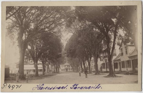 Heerenstraat. Paramaribo