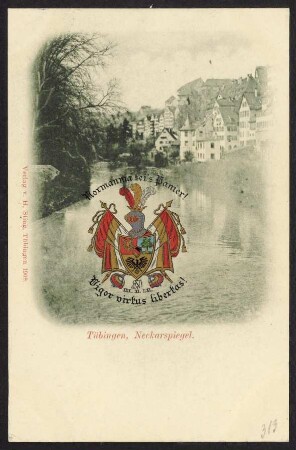 313, Tübingen, Neckarspiegel. Normannia sei's Panier!