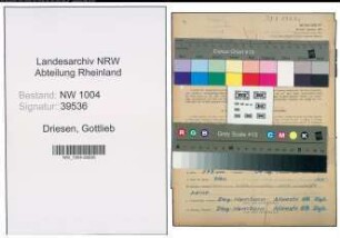 Entnazifizierung Gottlieb Driesen , geb. 09.07.1900 (Kaufmann)