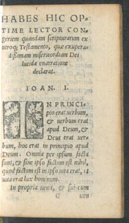 Habes Hic Optime Lector Congeriem quandam scripturarum ex utroque Testamento, quae exuperatißimam misericordiam Dei lucida enarratione declarat.