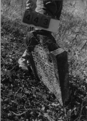 Grabstein 443