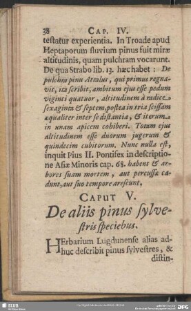 Caput V. De aliis pinus sylvestris speciebus