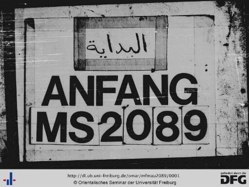 MF Mau 2089