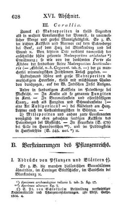 B. Versteinerungen des Pflanzenreichs