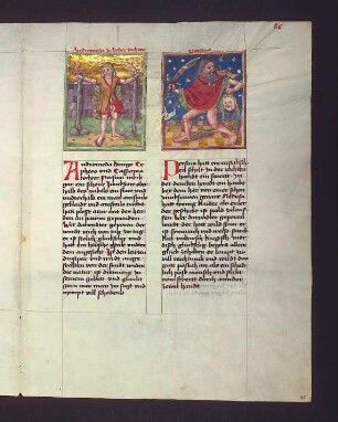 Sternbilder: (1) Andromeda; (2) Perseus