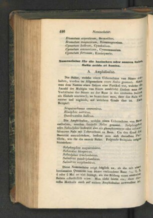 Nomenclatur für die basischen oder sauren Salze, Salia acida et basica. A. Amphidsalze.