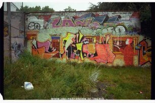 "BiRNe" QuALM