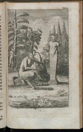 Tab. 25. Sylvanus