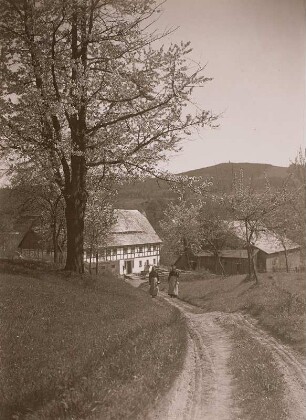 Cunewalde, Blick zum Huhberg mit Gehöft : Cunewalde