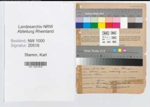 Entnazifizierung Karl Stamm, geb. 12.10.1893 (Buchhalter)