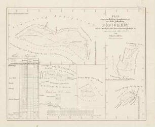 Plan über den Wald der Grundherrschaft v. Rüdt Collenberg zu Bödigheim auf der dortigen und der Gemarkung Eubigheim