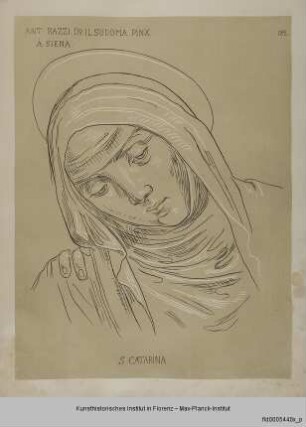 Kopf der Heiligen Katharina von Siena während der Ohnmacht (nach Sodoma in San Domenico in Siena)