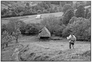 Maramures. Das Weintal
