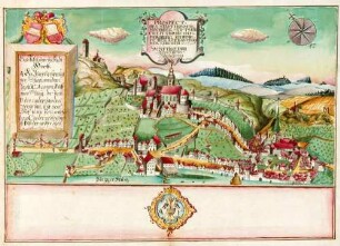 Aufhebung des Franziskanerklosters zu Horb und der Verkauf seiner Realitäten