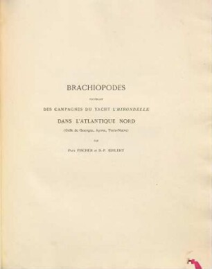 Brachiopodes de l'Atlantique Nord
