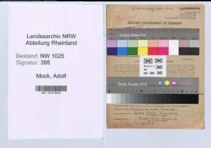 Entnazifizierung Adolf Mock , geb. 09.03.1901 (Vertreter)