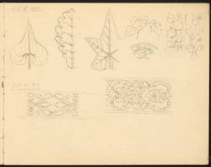 Skizzenbuch: Pflanzen und Ornamente